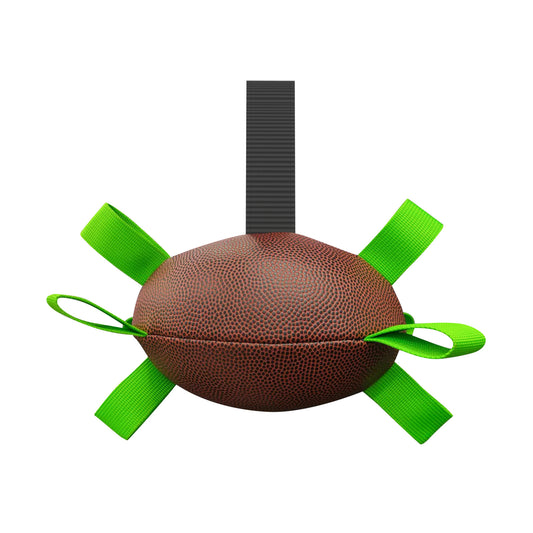 Interactive Dog Football Toy